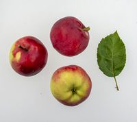 Vista Bella æble